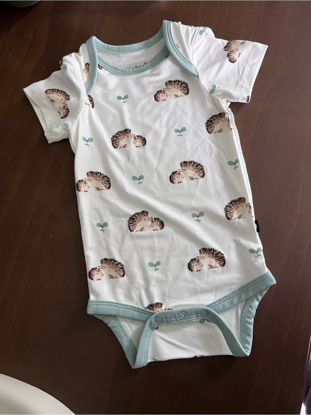 Kyte BABY White Bodysuit with Hedgehog Print and Mint Trim